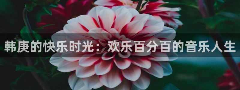 美狮贵宾会0924455