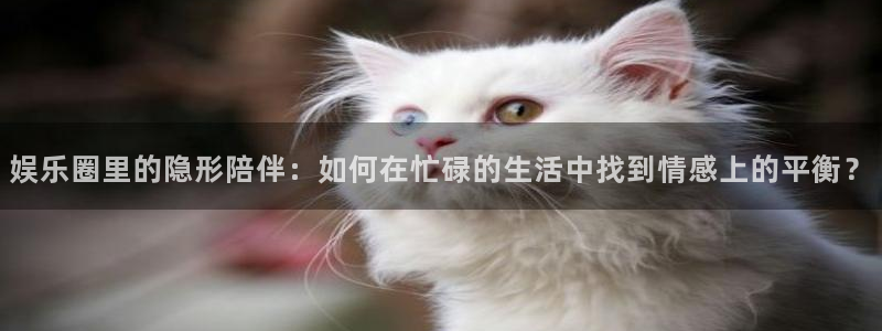 美狮贵宾会会员登录