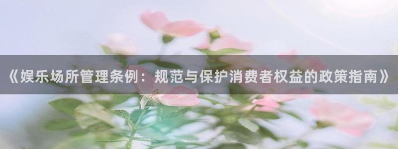 美狮贵宾会092268最新消息官网：《娱乐场所管理条例：规范与保护消费者权益的政策指南》