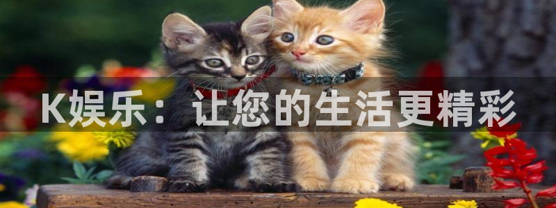 美狮贵宾会官方网下载：K娱乐：让您的生活更精彩