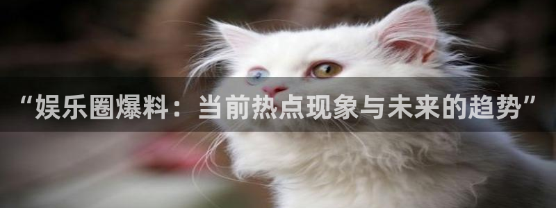 美狮贵宾会官网登录：“娱乐圈爆料：当前热点现象与未来的趋势”