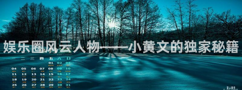 美狮贵宾会ms092021：娱乐圈风云人物——小黄文的独家秘籍