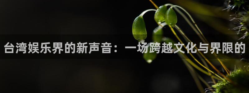 美狮贵宾会：台湾娱乐界的新声音：一场跨越文化与界限的