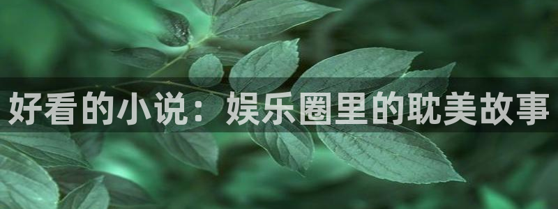 美狮贵宾会：好看的小说：娱乐圈里的耽美故事