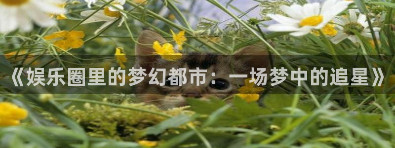 美狮贵宾会线路检测：《娱乐圈里的梦幻都市：一场梦中的追星》