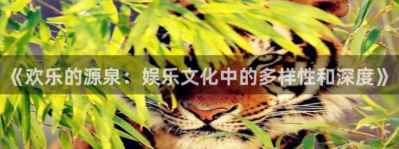 美狮贵宾会0923344：《欢乐的源泉：娱乐文化中的多样性和深度》